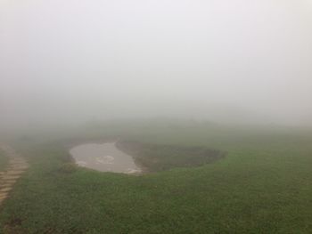 Scenic view of field in foggy weather against sky