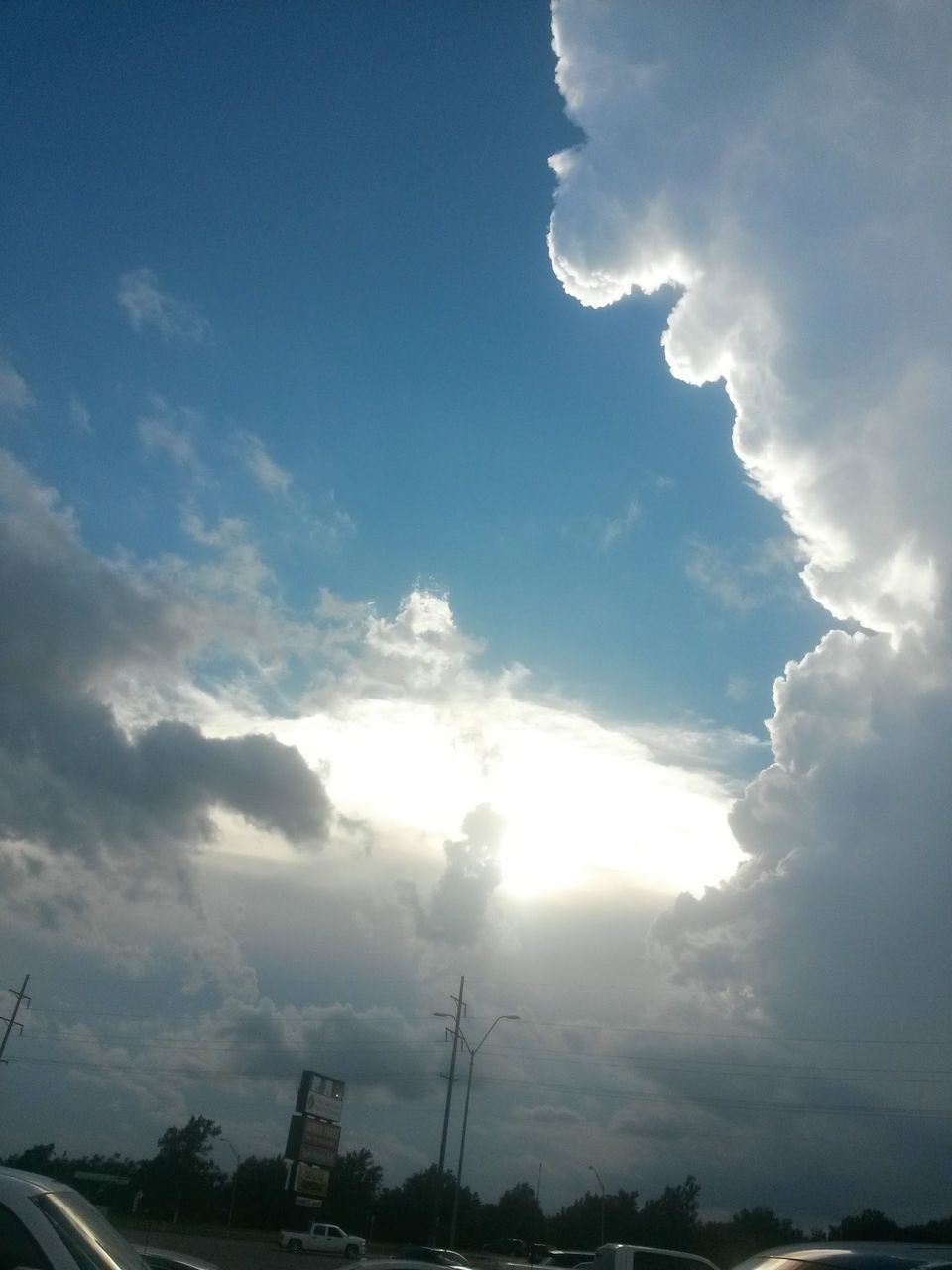 LOW ANGLE VIEW OF SKY AND TREES