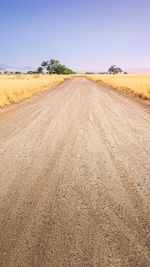 Road passing through agricultural field against sky