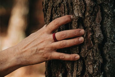 Close-up of hands on tree trunk