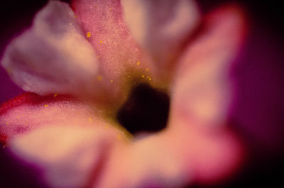 Close-up of hand on red surface
