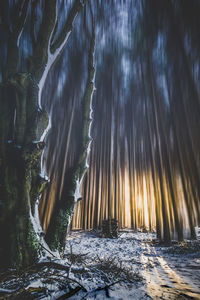 Panoramic shot of water against sky