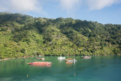 Scenic view of lake by trees against sky