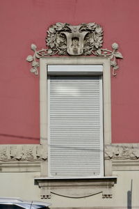 Close-up of bird on wall