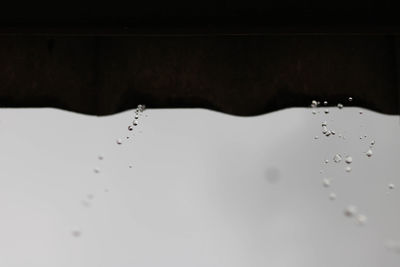 Close-up of water drops