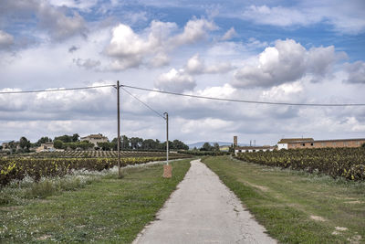 Road amidst agricultural field against sky