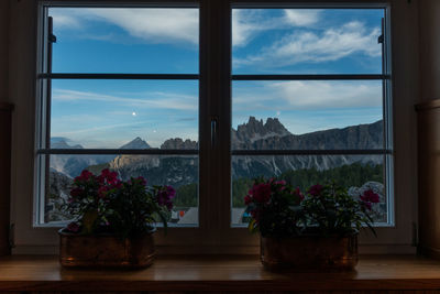 Potted plants by window against sky