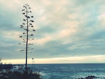 Scenic view of sea against sky at sunset