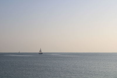 Sailboat sailing on sea against clear sky