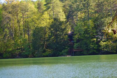 Scenic view of lake by trees