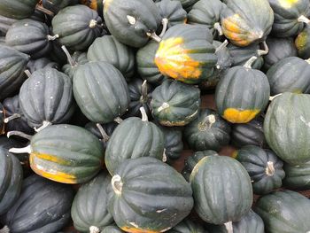 Full frame shot of pumpkins for sale