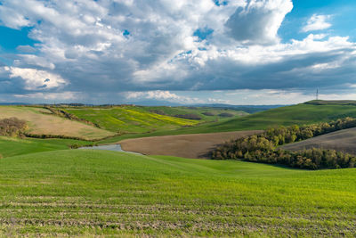 Scenic view of agricultural field against sky