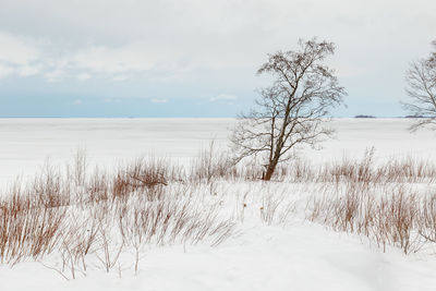 Scenic view of snow covered land against sky