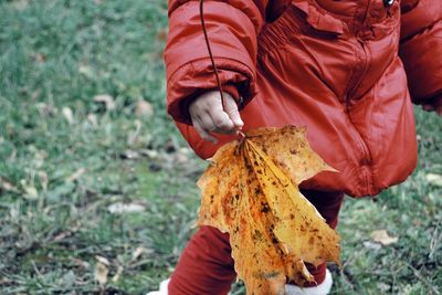 Close-up of child holding leaf on field
