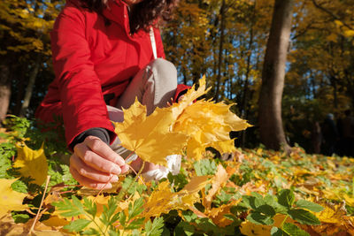 Midsection of person holding yellow flowering plants during autumn