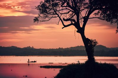 Silhouette tree by lake against sky during sunset