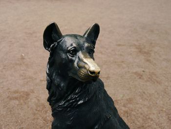 Close-up portrait of a dog sculpture 