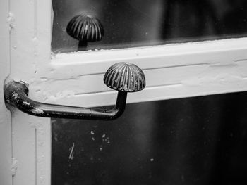 Close-up of wet glass door