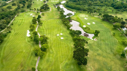 High angle view of golf course