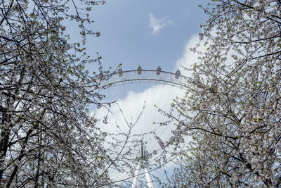 Low angle view of bare tree against sky