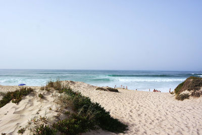 Scenic view of beach against clear sky
