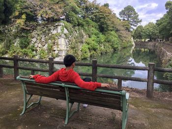 Rear view of man sitting on bench against trees