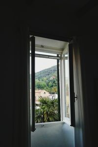 Trees seen through window