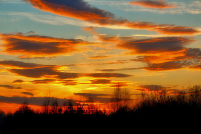 Silhouette trees against dramatic sky during sunset