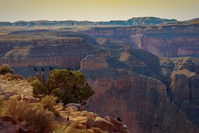 Scenic view of landscape