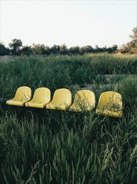 Scenic view of field against clear sky