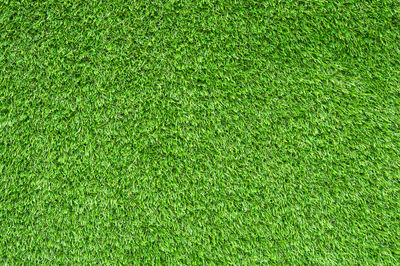 Full frame shot of green grass