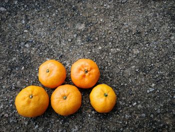 High angle view of orange fruits