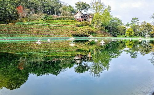 Reflection of trees in lake against sky