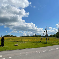 Scenic view of agricultural field against sky