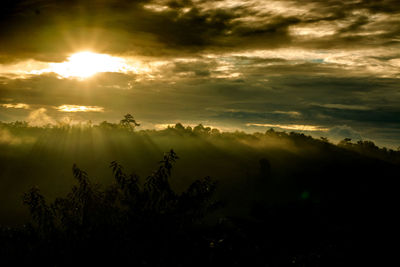 Scenic view of sunset