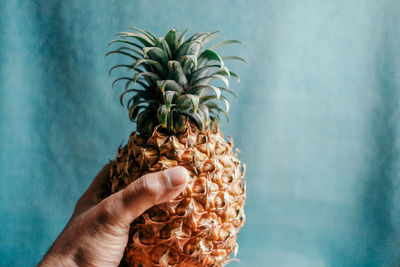 Close-up of hand holding fruit