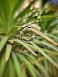 Close-up of wedding rings on leaf