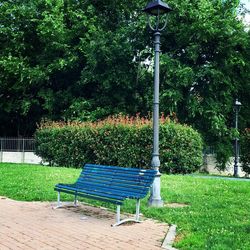 Empty chairs against trees in park