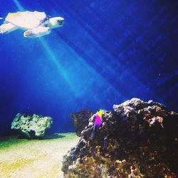 Low angle view of rock formation in sea