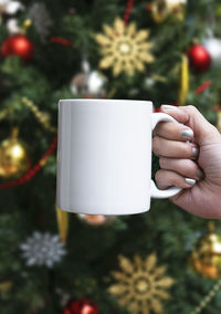Close-up of hand holding christmas tree