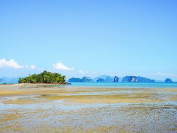 Scenic view of beach against blue sky