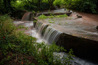 Scenic view of waterfall in forest