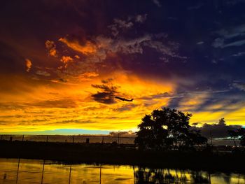 Silhouette trees by lake against sky during sunset