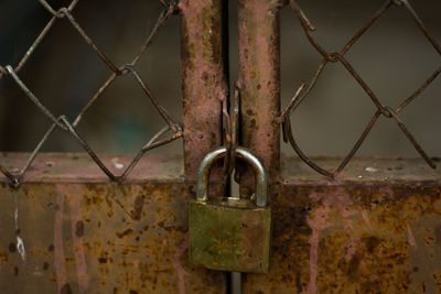 Close-up of padlock on rusty gate