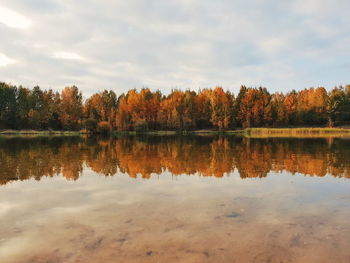 Scenic view of lake in forest against sky