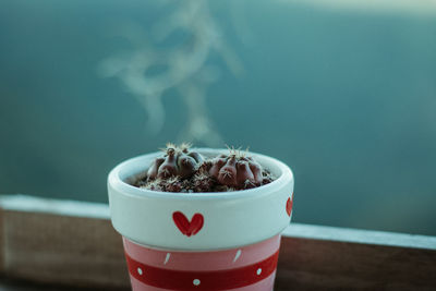 Close-up of coffee and potted plant on table