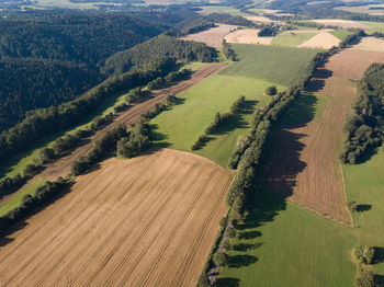 Scenic view of agricultural field