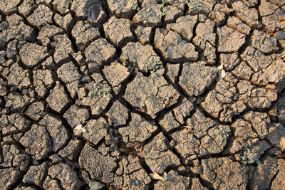 Dry cracked land of a waterhole