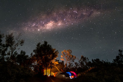 Illuminated tents in forest against star field at night