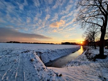 Snow covered plants against sky during sunset